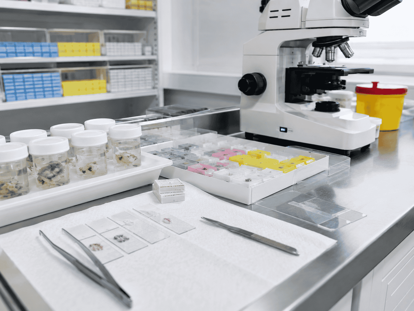 Healthcare environment in Dubai